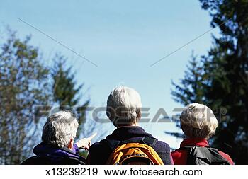 Stock Photograph - three mature women 
looking at trees, 
woman pointing, 
rear view. fotosearch 
- search stock 
photos, pictures, 
images, and photo 
clipart