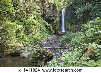 Stock Photo - usa, oregon, columbia 
river gorge, multnomah 
creek, waterfall. 
fotosearch - search 
stock photos, 
pictures, images, 
and photo clipart