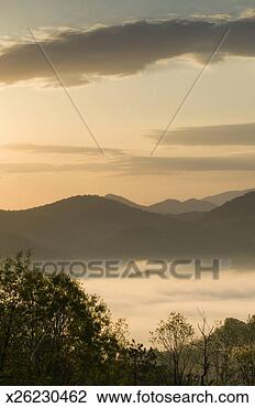 Stock Photo - usa, tennessee, 
great smoky mountains 
np, wear cove, 
dawn. fotosearch 
- search stock 
photos, pictures, 
images, and photo 
clipart