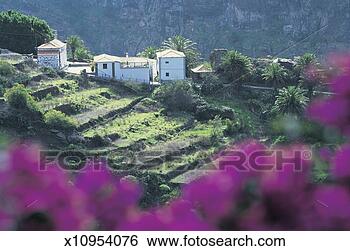 Stock Photo - canary islands, 
tenerife, masaca 
village. fotosearch 
- search stock 
photos, pictures, 
images, and photo 
clipart