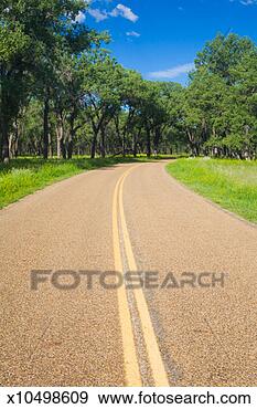 Stock Photograph - curving road surrounded 
by trees. fotosearch 
- search stock 
photos, pictures, 
images, and photo 
clipart