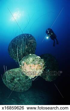 Stock Photo - marshall islands, 
bikini atoll, 
female diver exploring 
battleship. fotosearch 
- search stock 
photos, pictures, 
images, and photo 
clipart