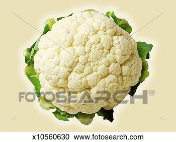 Stock Photography - cauliflower on 
beige background, 
directly above. 
fotosearch - search 
stock photos, 
pictures, images, 
and photo clipart