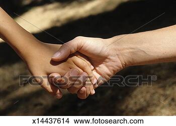 Stock Photo - close-up of mother 
holding son's 
(12-13) hand. 
fotosearch - search 
stock photos, 
pictures, images, 
and photo clipart