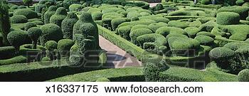 Stock Image - france, dordogne, 
french garden. 
fotosearch - search 
stock photos, 
pictures, images, 
and photo clipart