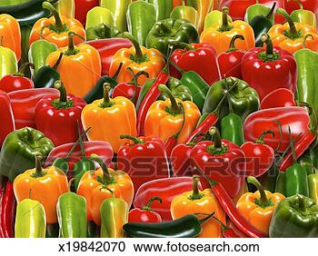 Stock Photography - large group of 
assorted peppers. 
fotosearch - search 
stock photos, 
pictures, images, 
and photo clipart
