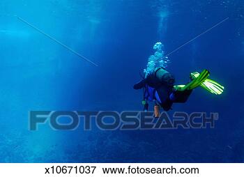 Picture - mature man scuba 
diving, rear view. 
fotosearch - search 
stock photos, 
pictures, images, 
and photo clipart
