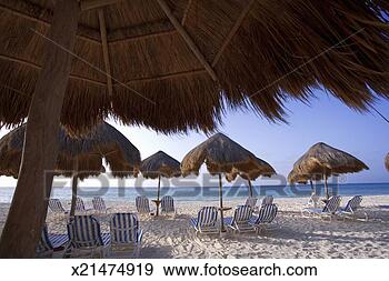 Stock Photograph - mexico, playa 
del carmen, palapas 
and chairs on 
beach. fotosearch 
- search stock 
photos, pictures, 
images, and photo 
clipart