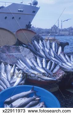 Stock Photo - turkey, istanbul, 
fish market display. 
fotosearch - search 
stock photos, 
pictures, images, 
and photo clipart