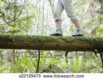 Stock Photo - woman walking 
across moss covered 
log in forest, 
 low section, 
 side. fotosearch 
- search stock 
photos, pictures, 
images, and photo 
clipart