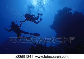 Stock Photography - couple of divers 
holding hands, 
underwater view. 
fotosearch - search 
stock photos, 
pictures, images, 
and photo clipart
