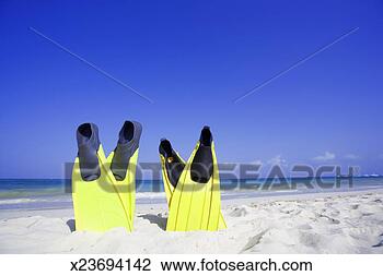 Stock Photo - mexico, playa 
del carmen, swim 
fins on beach. 
fotosearch - search 
stock photos, 
pictures, images, 
and photo clipart