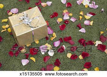 Stock Image - present amongst 
rose petals, elevated 
view. fotosearch 
- search stock 
photos, pictures, 
images, and photo 
clipart