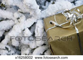 Stock Photo - present near snow 
covered tree, 
close up. fotosearch 
- search stock 
photos, pictures, 
images, and photo 
clipart