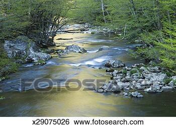 Stock Photo - usa,  tennessee, 
 great smoky mountains 
national park, 
 middle prong. 
fotosearch - search 
stock photos, 
pictures, images, 
and photo clipart