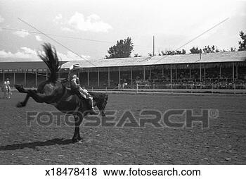 Stock Photo - cowboy riding 
horse in rodeo, 
(b&w). fotosearch 
- search stock 
photos, pictures, 
images, and photo 
clipart