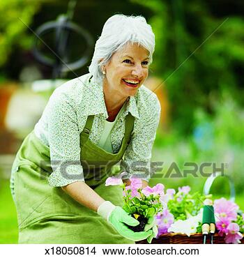 Stock Photo - close-up of woman 
setting flowers 
in garden. fotosearch 
- search stock 
photos, pictures, 
images, and photo 
clipart