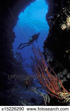 Stock Photography - scuba diver entering 
an undersea cave. 
fotosearch - search 
stock photos, 
pictures, images, 
and photo clipart
