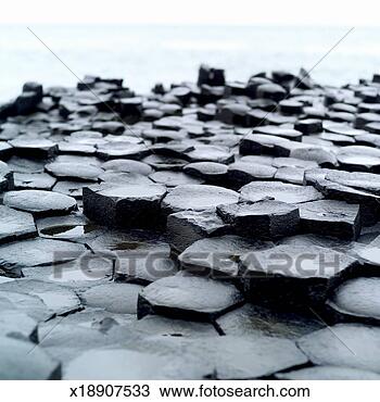 Stock Photo - close up view 
of giants causeway, 
county antrim. 
fotosearch - search 
stock photos, 
pictures, images, 
and photo clipart