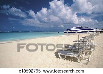 Stock Image - many umbrellas 
and white lounge 
chairs in a line 
on shoal bay beach. 
fotosearch - search 
stock photos, 
pictures, images, 
and photo clipart
