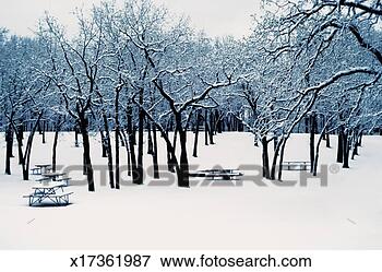 Picture - winter scene at 
lake como with 
snow-covered picnic 
tables in saint. 
fotosearch - search 
stock photos, 
pictures, images, 
and photo clipart