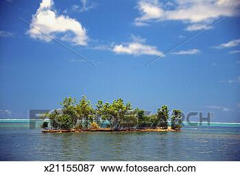 Picture - trees on an island, 
raiatea, motu 
island, french 
polynesia. fotosearch 
- search stock 
photos, pictures, 
images, and photo 
clipart