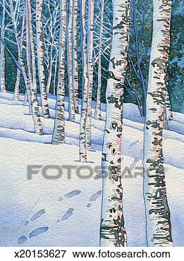 Stock Illustration - white birches 
in winter. fotosearch 
- search clipart, 
illustration, 
drawings and vector 
eps graphics images
