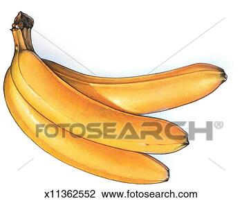 Clip Art - bunch of bananas. 
fotosearch - search 
clipart, illustration, 
drawings and vector 
eps graphics images