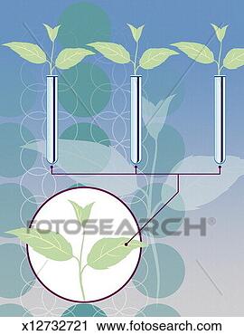 Clipart - genetically modified 
plants. fotosearch 
- search clipart, 
illustration, 
drawings and vector 
eps graphics images