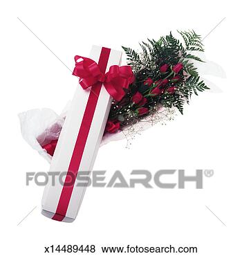 One Dozen Roses View Large Photo Image Stock Photo - one dozen roses. fotosearch - search stock photos, pictures, images, and photo clipart