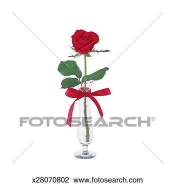 Stock Photo - single red rose 
with red ribbon. 
fotosearch - search 
stock photos, 
pictures, images, 
and photo clipart