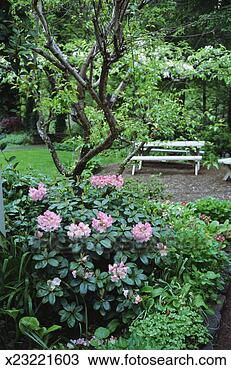 Stock Photo - park bench in 
park. fotosearch 
- search stock 
photos, pictures, 
images, and photo 
clipart