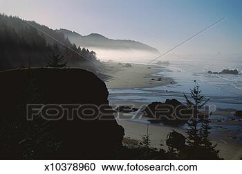 Stock Photography - fog at the oregon 
coast. fotosearch 
- search stock 
photos, pictures, 
images, and photo 
clipart