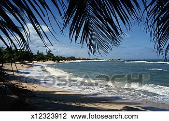 Stock Photo - haitian beach. 
fotosearch - search 
stock photos, 
pictures, images, 
and photo clipart