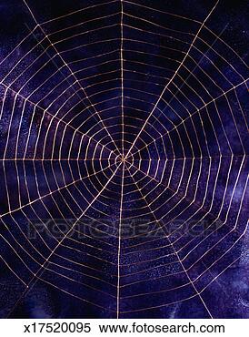 Stock Image - wire spider web. 
fotosearch - search 
stock photos, 
pictures, wall 
murals, images, 
and photo clipart