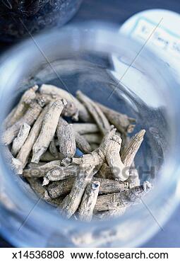 Stock Photo - overhead view 
of phanax quinquefolium 
in a jar. fotosearch 
- search stock 
photos, pictures, 
images, and photo 
clipart