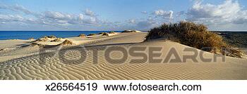 Stock Photograph - australia, western 
australia, cape 
range np, coastal 
dunes. fotosearch 
- search stock 
photos, pictures, 
images, and photo 
clipart