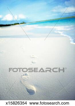 Stock Photo - british west indies, 
anguilla, footprints 
on white sandy 
beach. fotosearch 
- search stock 
photos, pictures, 
images, and photo 
clipart