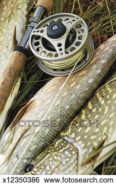 Stock Photo - high angle view 
of a fishing reel 
and a fishing 
rod on fish. fotosearch 
- search stock 
photos, pictures, 
images, and photo 
clipart