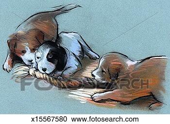 Stock Illustration - puppies playing 
with rope. fotosearch 
- search clipart, 
illustration, 
drawings and vector 
eps graphics images