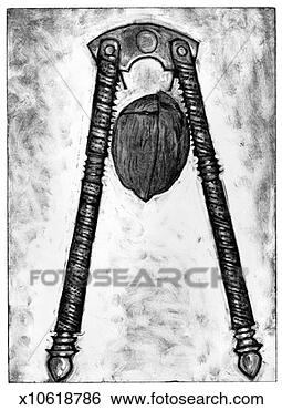Stock Illustration - walnut & nutcracker. 
fotosearch - search 
clipart, illustration, 
drawings and vector 
eps graphics images
