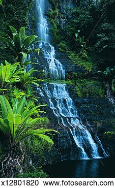 Stock Photography - bridal falls, 
eastern highlands, 
zimbabwe, africa. 
fotosearch - search 
stock photos, 
pictures, images, 
and photo clipart