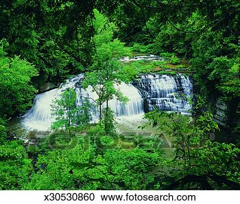 Stock Photography - burgess falls, 
burgess falls 
state natural 
area, tennessee, 
usa. fotosearch 
- search stock 
photos, pictures, 
images, and photo 
clipart