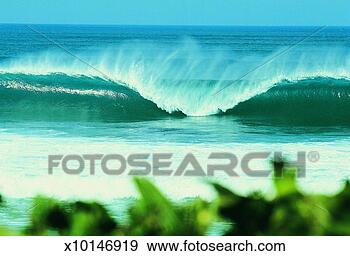 Stock Photograph - coast, natal, 
south africa, 
africa. fotosearch 
- search stock 
photos, pictures, 
images, and photo 
clipart