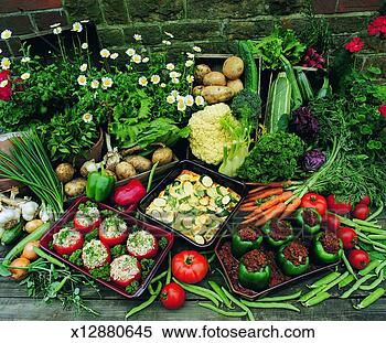 Stock Image - cauliflower, courgette, 
fennel, flower, 
food, garden. 
fotosearch - search 
stock photos, 
pictures, images, 
and photo clipart