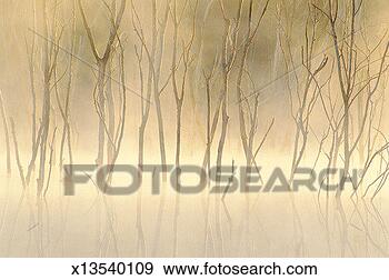 Stock Photograph - finger lakes state 
park, missouri, 
usa. fotosearch 
- search stock 
photos, pictures, 
images, and photo 
clipart