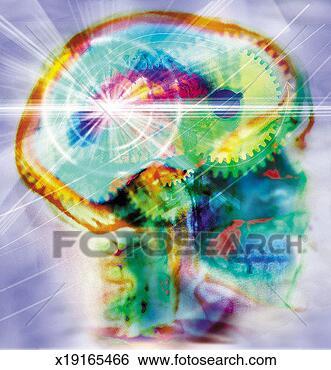 Stock Illustration - contemplating, 
brain, considering, 
composite, cog, 
anatomy. fotosearch 
- search clipart, 
illustration, 
drawings and vector 
eps graphics images
