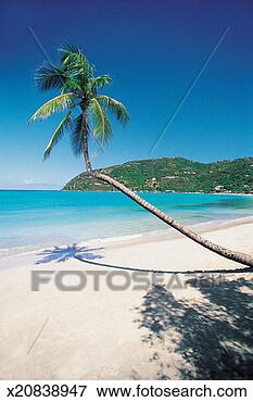 Picture - cane garden bay, 
tortola, british 
virgin islands, 
caribbean. fotosearch 
- search stock 
photos, pictures, 
images, and photo 
clipart
