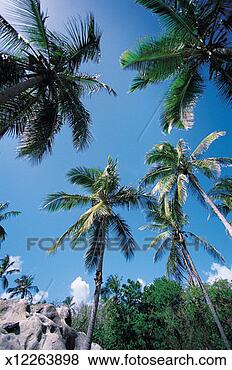 Stock Photo - spring bay, virgin 
gorda, british 
virgin islands, 
carribean. fotosearch 
- search stock 
photos, pictures, 
images, and photo 
clipart