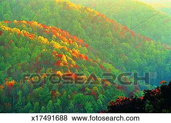Stock Photo - great smoky mountains 
national park, 
tennessee, usa. 
fotosearch - search 
stock photos, 
pictures, images, 
and photo clipart